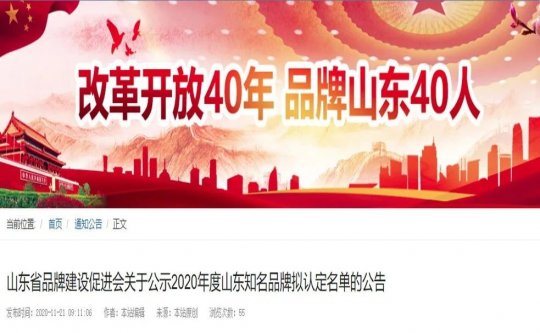 拼搏在线官方网站-拼搏（中国）公司权属制造企业两项产品被认定为山东省知名品牌