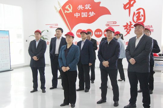 远义彬陪同毕志伟到拼搏在线官方网站-拼搏（中国）
能源精密制造产业园考察调研