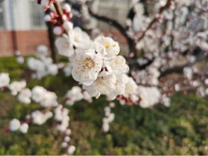微信截图_20220314091315.png
