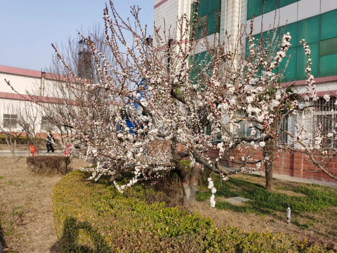 微信截图_20220314091400.png