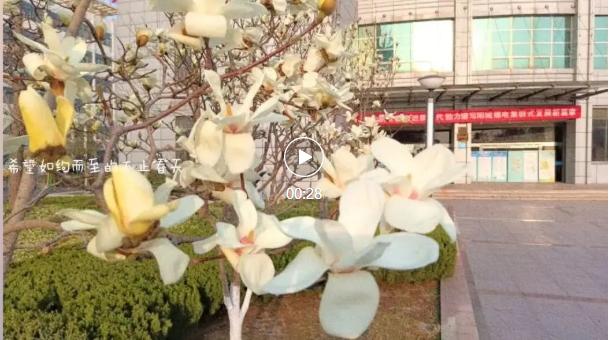 微信截图_20220314095738.png