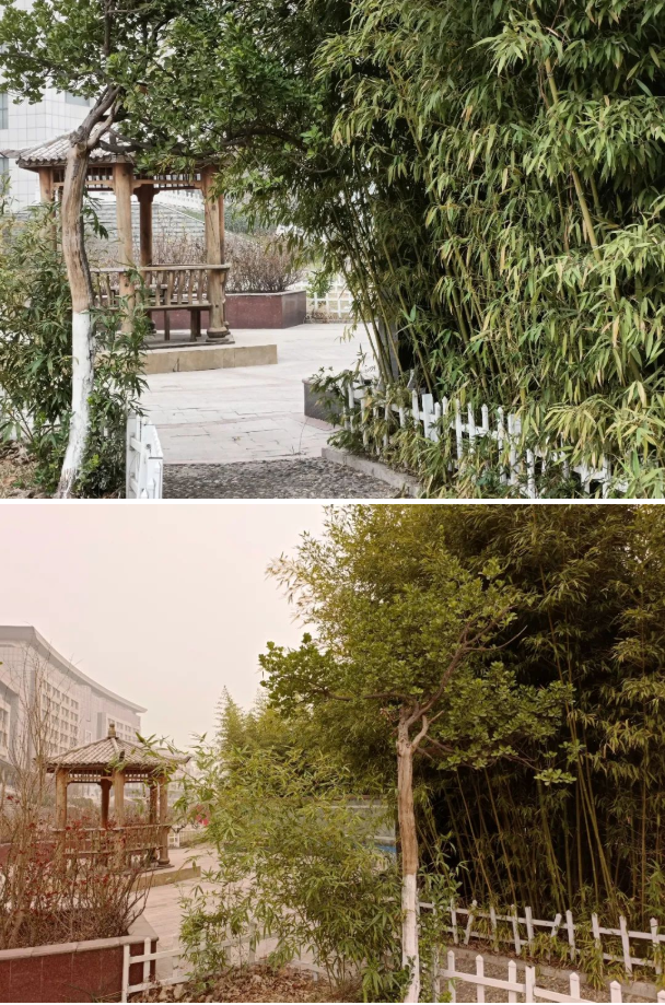 微信截图_20220315083416.png