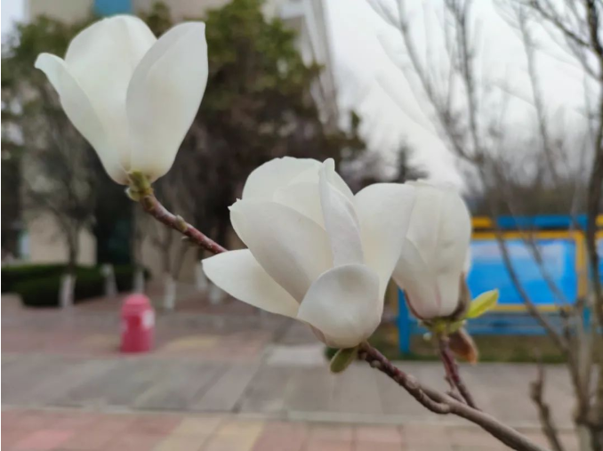 微信截图_20220316085856.png