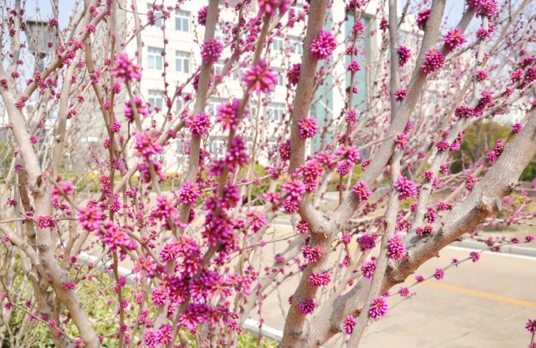 微信图片_20220316170350.jpg