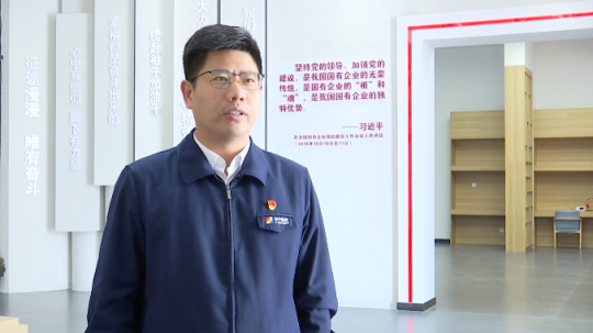 企业负责人访谈丨陈哲：树立拼搏在线官方网站-拼搏（中国）
港航产业新标杆，打造江北内河第一港口