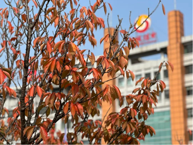 微信截图_20221031091430.png